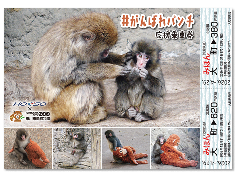 #がんばれパンチ 応援乗車券