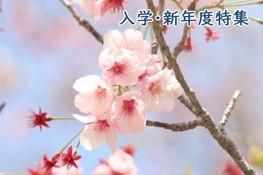 入学・新年度特集